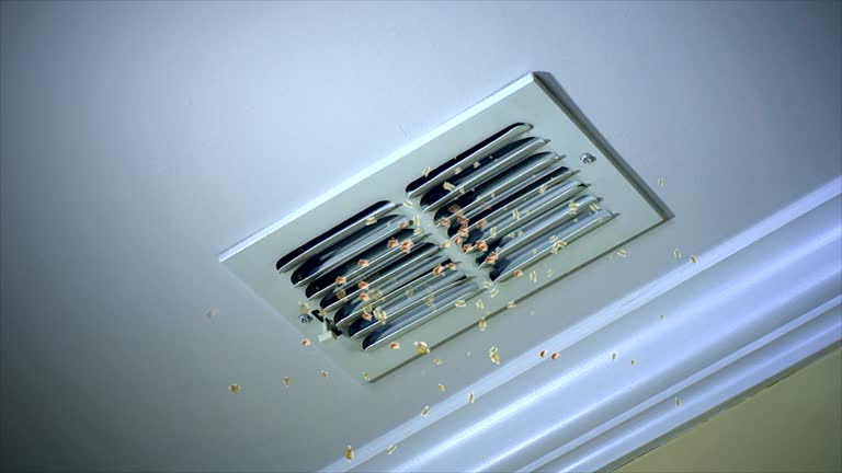Best Air Duct Sanitizing Services  in Atlantic Beach, NC